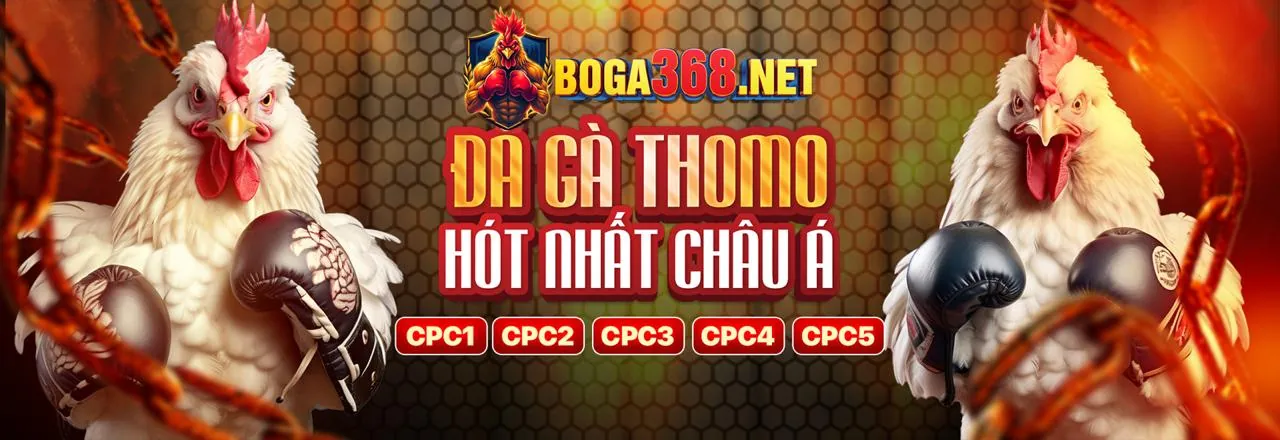 Đá Gà Trực Tuyến rr8811 Login - Trải Nghiệm Kịch Tính 2026